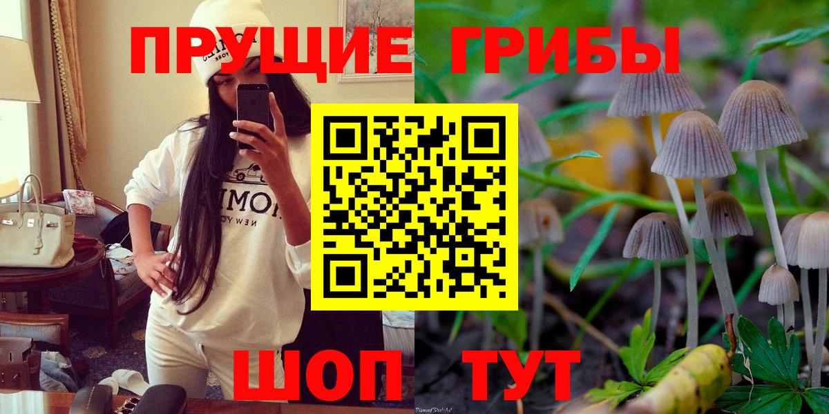 Галлюциногенные грибы ЛСД  Вход с VPN  Шатура  Псилоцибиновые грибы GOLDEN TEACHER 